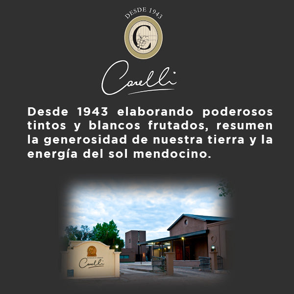 CATA - VINOS ARGENTINOS