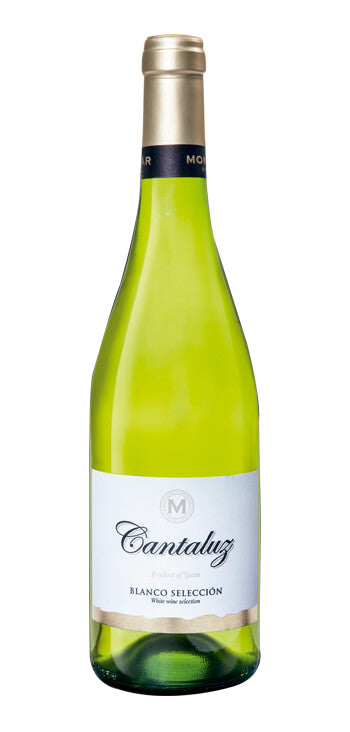 Vino Blanco Cantaluz