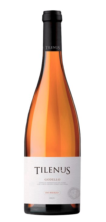 Vino Blanco Tilenus Godello