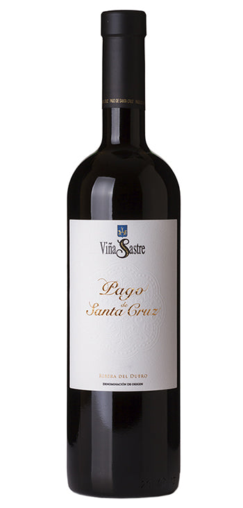 Vino Tinto Pago Santacruz